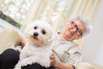 an older woman holding a small white dog on her lap at Arbor Hills, Florida